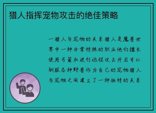 猎人指挥宠物攻击的绝佳策略